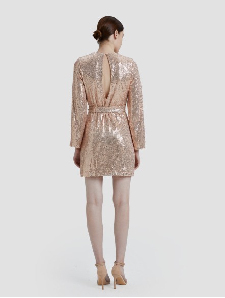 Sequin Mini Dress Sequin Mini Dress